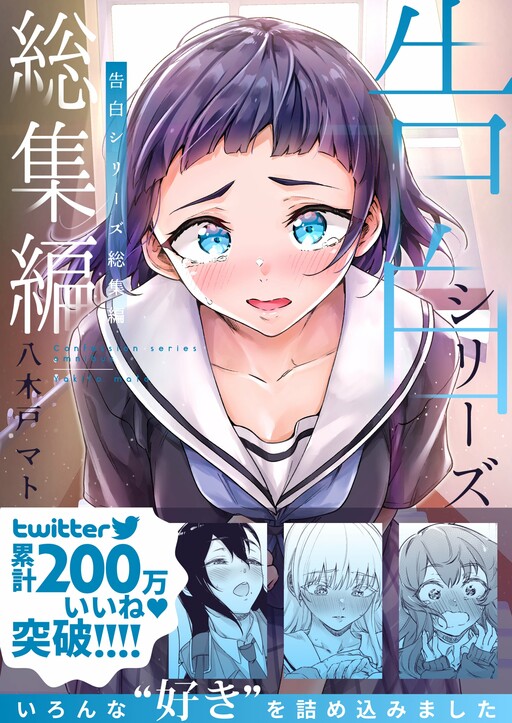 Cover of Confession Series