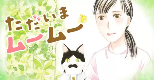 Cover of Taidama Muumuu