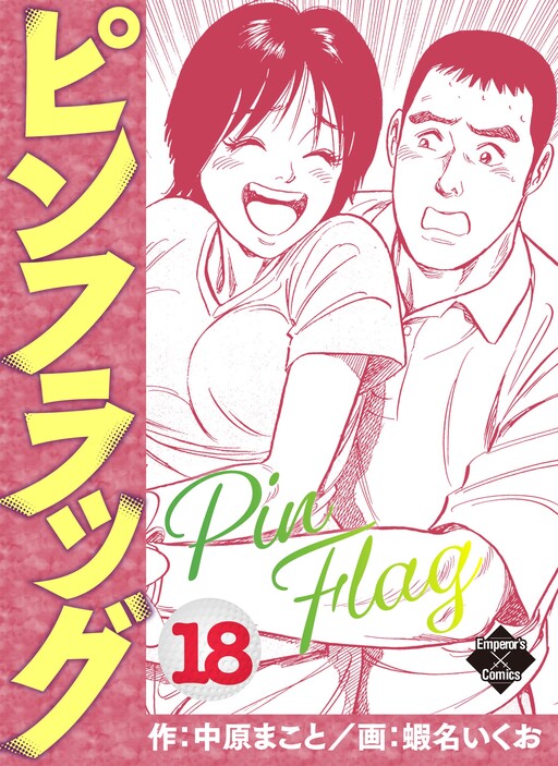 Cover of Pin Flag