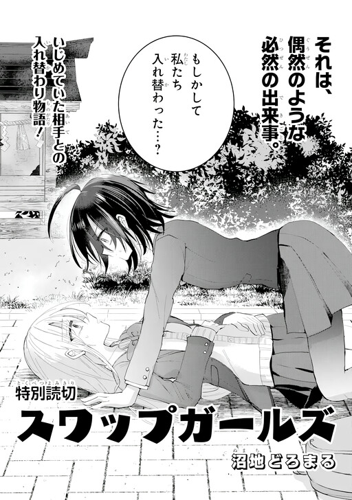 Cover of Swap Girls