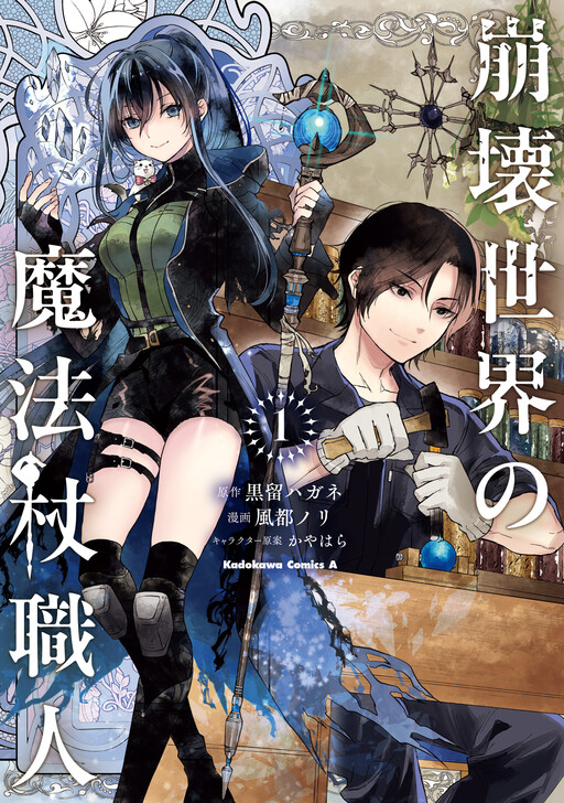 Cover of Wandmaker of the Ruined World
