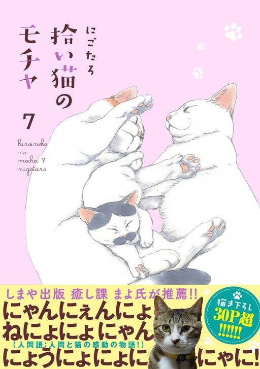 Cover of Mocha the Cat and His Forever Family