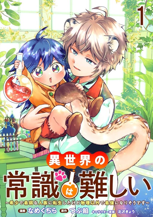 Cover of Common Sense in Another World Is Difficult