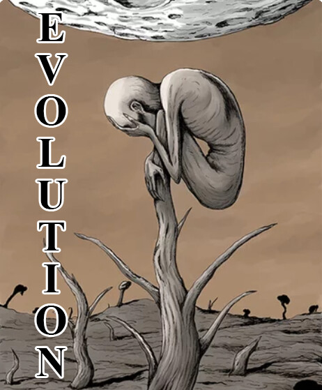 Cover of Human Evolution