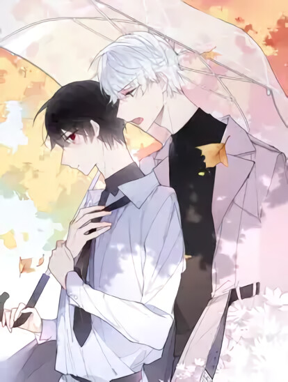 Cover of His Wolf