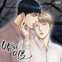 Cover of Night Maze