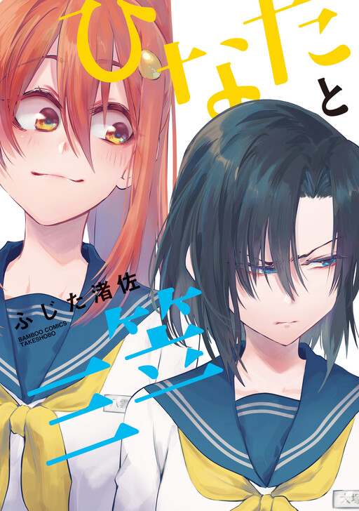 Cover of Hinata and Mikasa