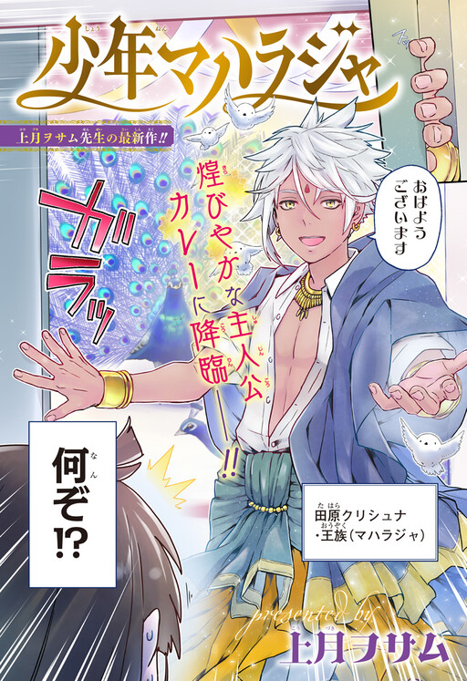 Cover of Shounen Maharaja
