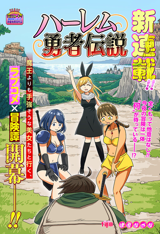 Cover of ハーレム勇者伝説