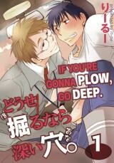 Cover of Douse Horu Nara Fukai Ana.