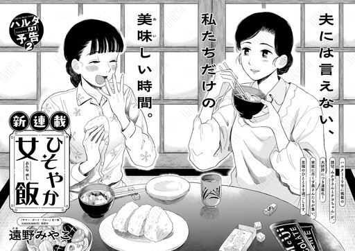 Cover of ひそやか女飯