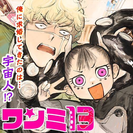 Cover of Wanmi 13