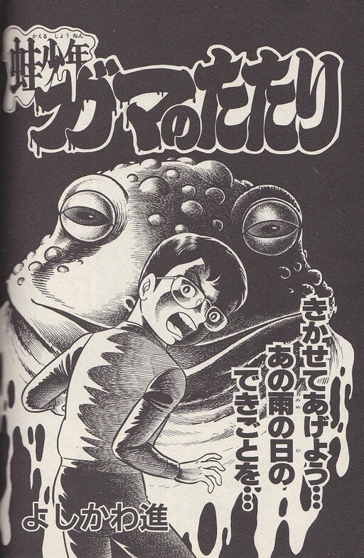 Cover of The Frog Boy - The Haunting of the Toad