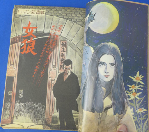 Cover of She-Wolf