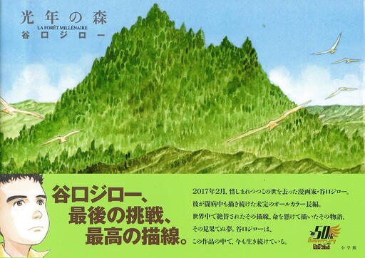 Cover of The Millennium Forest