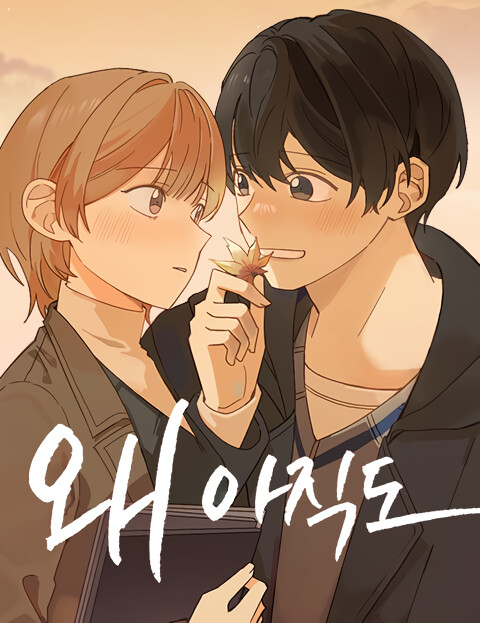 Cover of Why Still