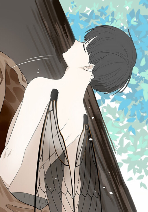 Cover of Cicadas in Summer