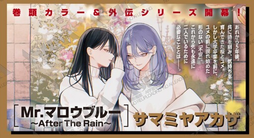 Cover of Mr.マロウブルー～After The Rain～