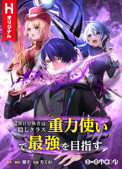Cover of Hidden Class Gravity User
