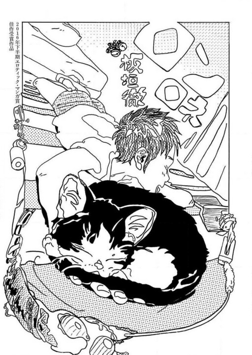 Cover of Ronronner