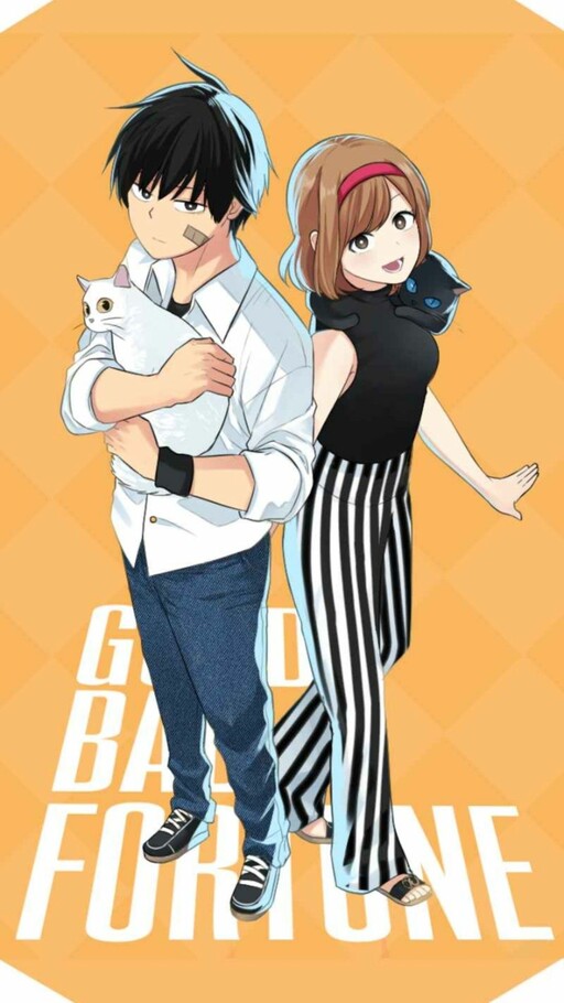Cover of Good/Bad Fortune