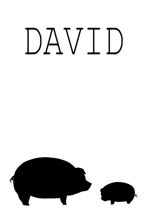 Cover of DAVID