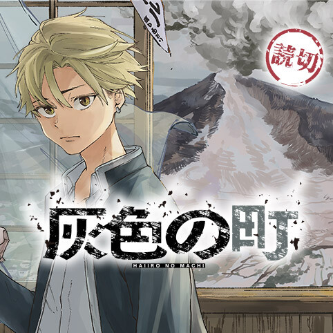 Cover of Gray Town