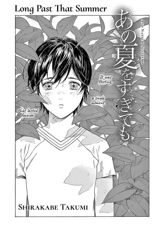 Cover of Long Past That Summer