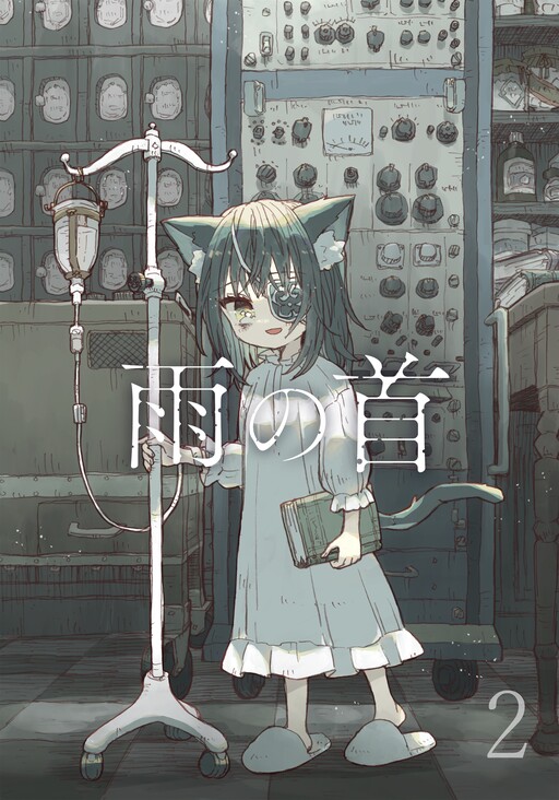 Cover of Rain's Head