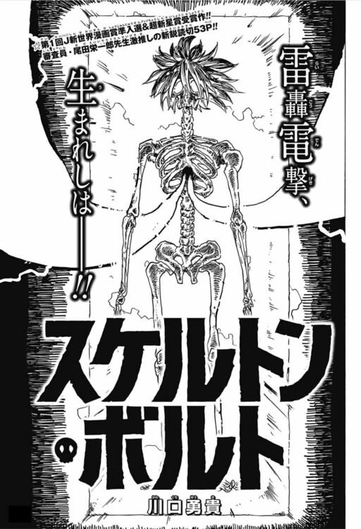 Cover of Skeleton Bolt