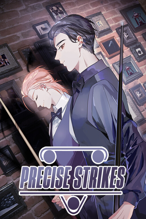 Cover of Precise Strikes