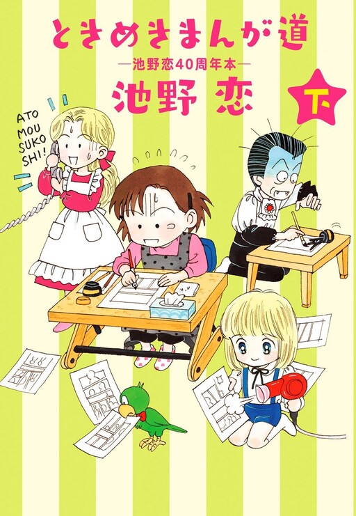 Cover of The Exciting Road to Manga