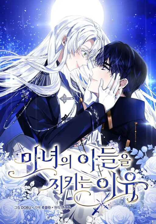 Cover of Reasons to Protect the Witch's Son