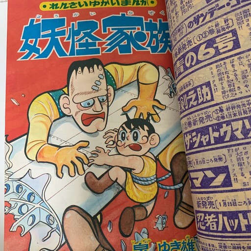 Cover of The Monster Family