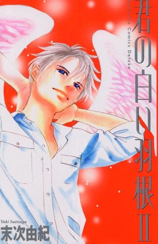 Cover of Your White Wings