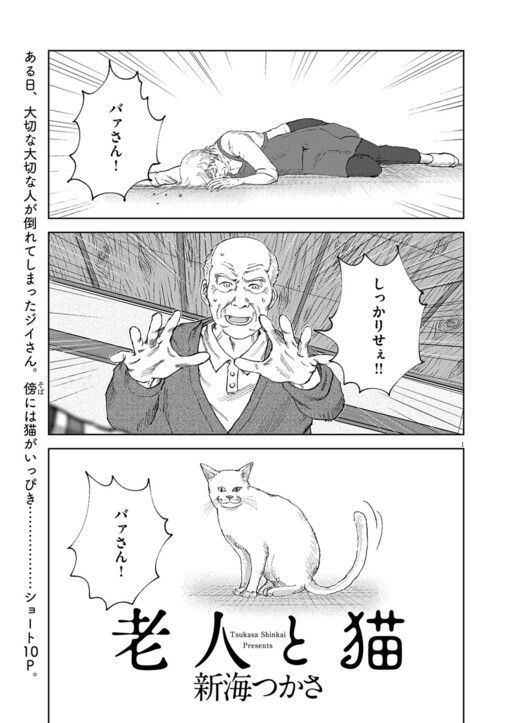 Cover of Old man and the cat