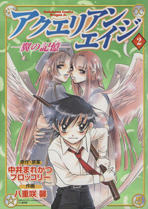 Cover of Aquarian Age: Memories of Wings