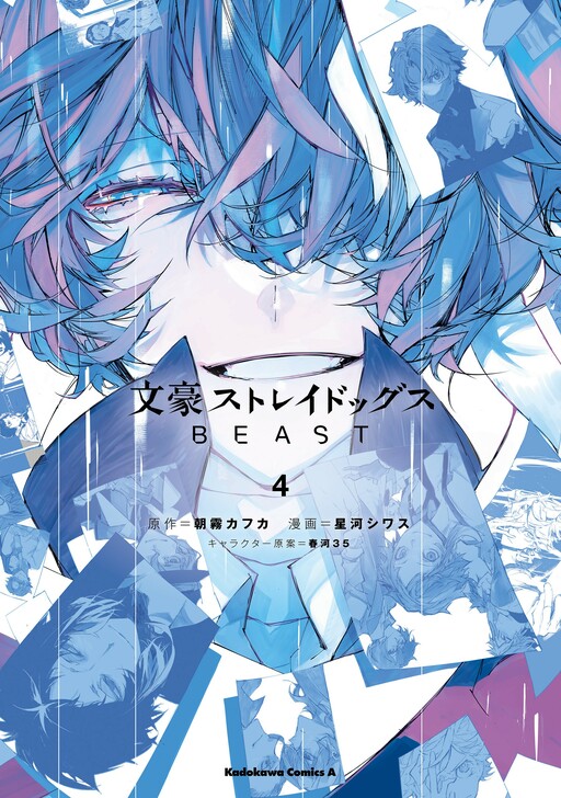 Cover of Bungou Stray Dogs Beast