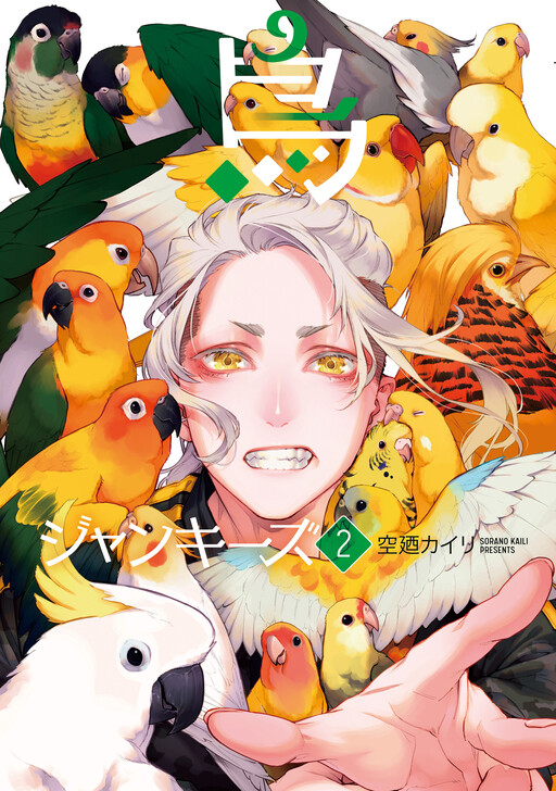 Cover of Birds Junkies