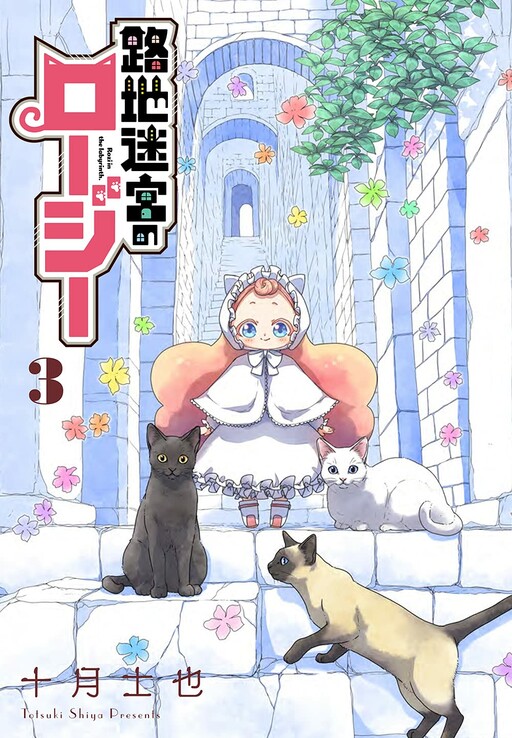 Cover of Rozi in the Labyrinth