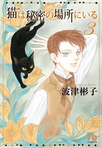 Cover of The Cat Is in a Secret Place