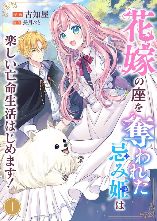 Cover of After Having Her Bride Seat Stolen, the Cursed Princess Begins a Fun Exile Life!