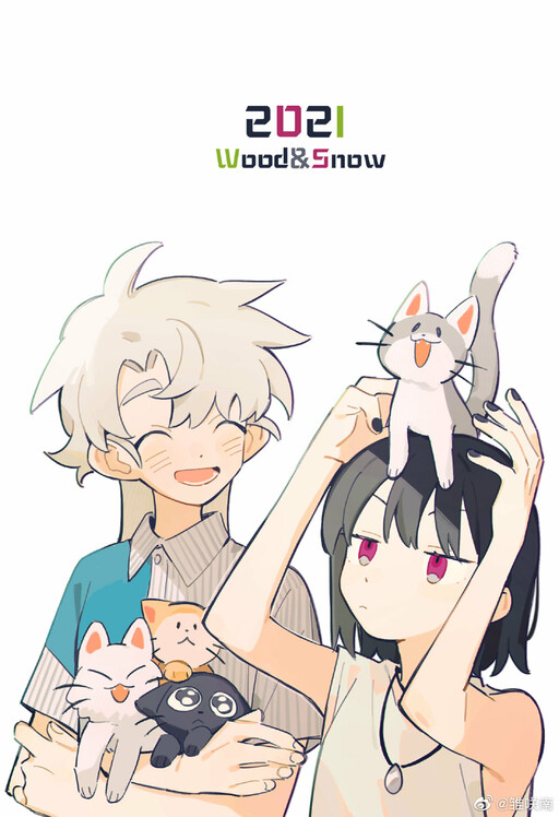 Cover of Wood and Snow