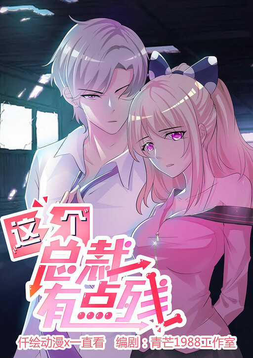 Cover of My Rather Savage President