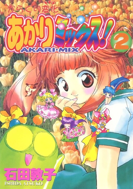Cover of Mechanical Transformation Light Mix!