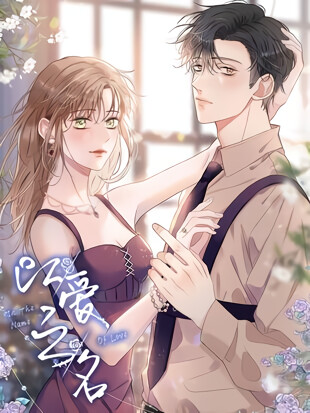 Cover of In the Name of Love