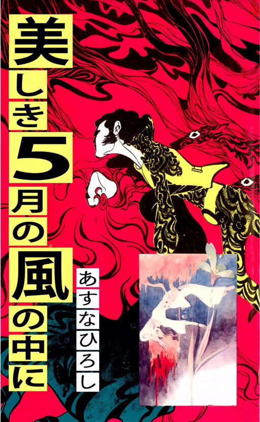 Cover of In the Country of the Beautiful May Wind