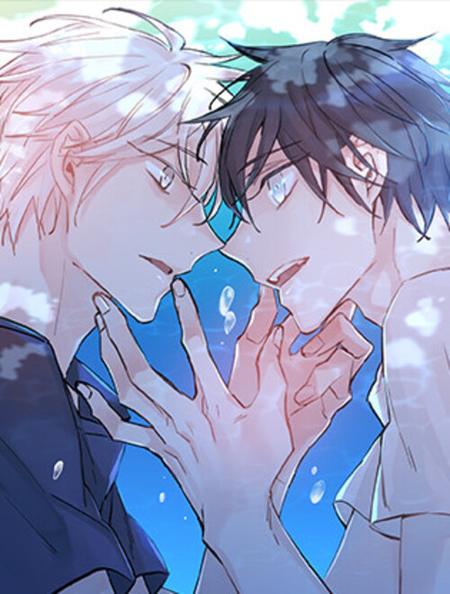 Cover of The Boys of Summer