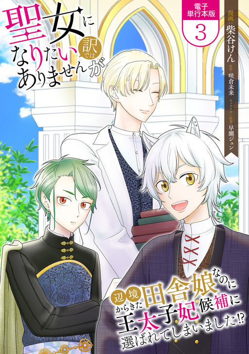 Cover of I Don't Want to Become a Saint