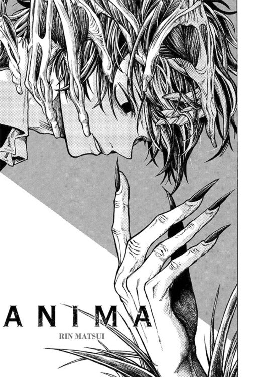 Cover of Anima